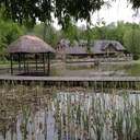 IMG_0739