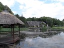 SAM_4871 copy